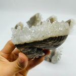 11-pieces-clear-quartz-cluster-squirrel-carving-wholesale-crystals-785235.jpg