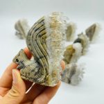 11-pieces-clear-quartz-cluster-squirrel-carving-wholesale-crystals-785235.jpg