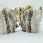 11-pieces-clear-quartz-cluster-squirrel-carving-wholesale-crystals-785235.jpg