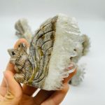 11-pieces-clear-quartz-cluster-squirrel-carving-wholesale-crystals-785235.jpg