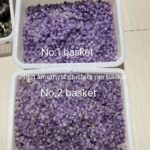 20kg44lbs-amethyst-cluster-basket-crystal-wholesale-911884